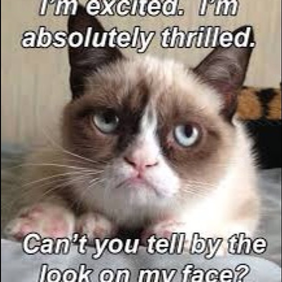 Meet your Posher, Allison - Picture 2 of 3